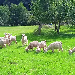Gasthuis Au Mohair Des Alpy, Fougax-et-Barrineuf